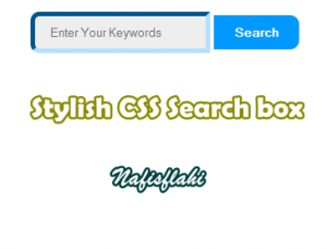 CSS Search Box