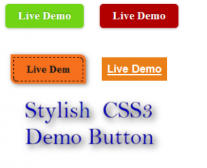 css live deomo