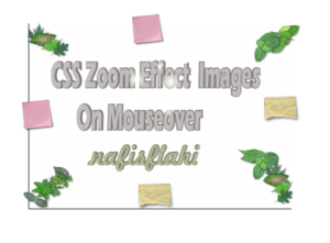 Stylish Zoom Effect