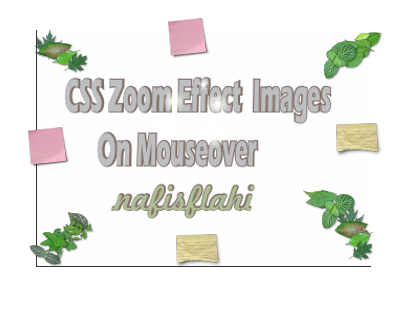 Stylish Zoom Effect