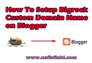 Setup Bigrock Custom Domain