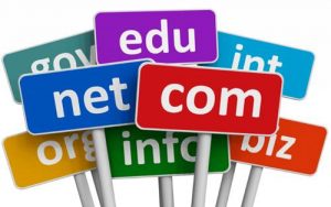 Purchas Domain Name