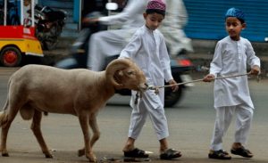 happy eid al adha