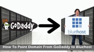 Point Domain From GoDaddy to Bluehost