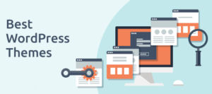 Best Premium WordPress Themes