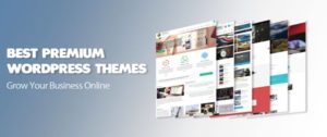 Best Premium theme