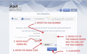 How to Check Permanent Family Visa Status