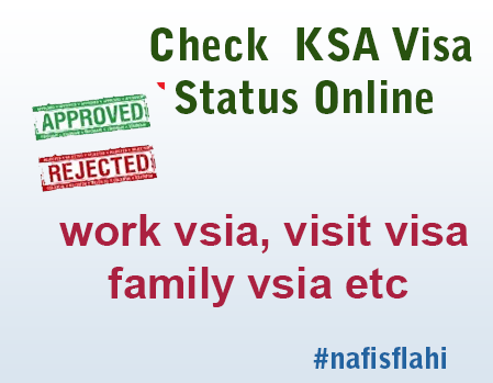 Check Visa Status Online
