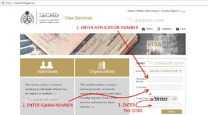 get Visit Visa Number