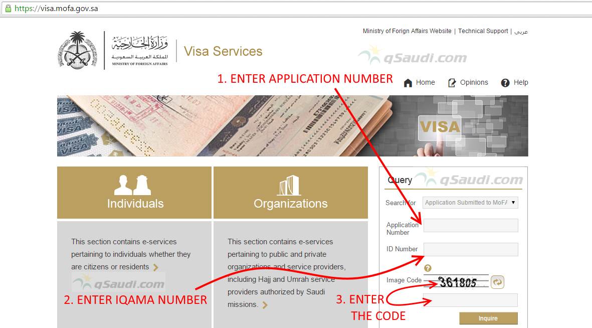 visit visa status check with passport number