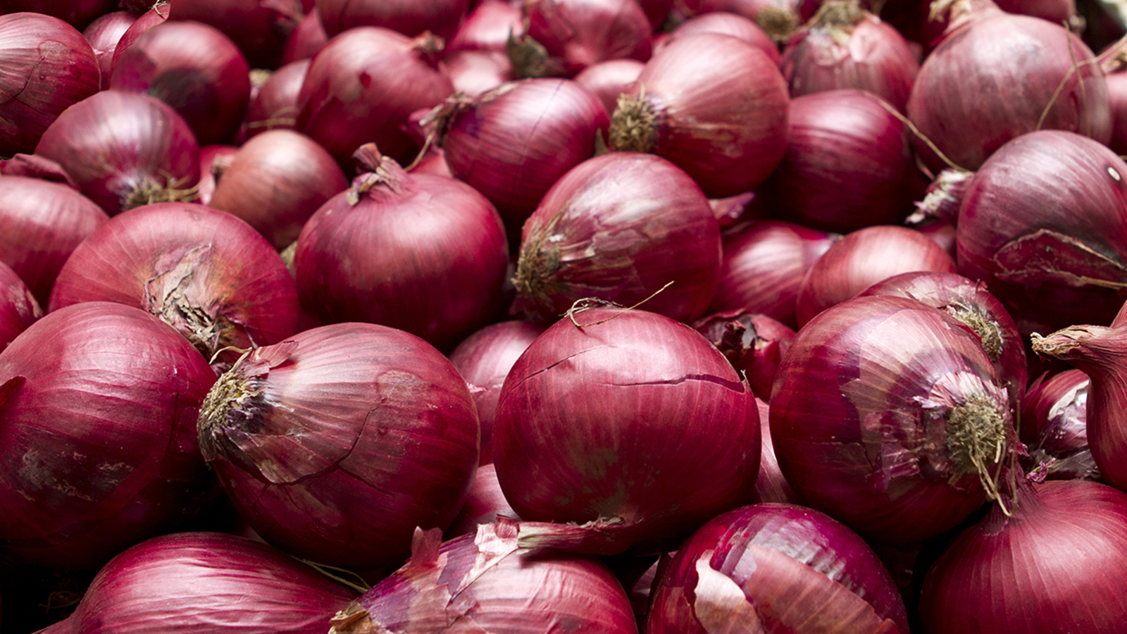 import onions