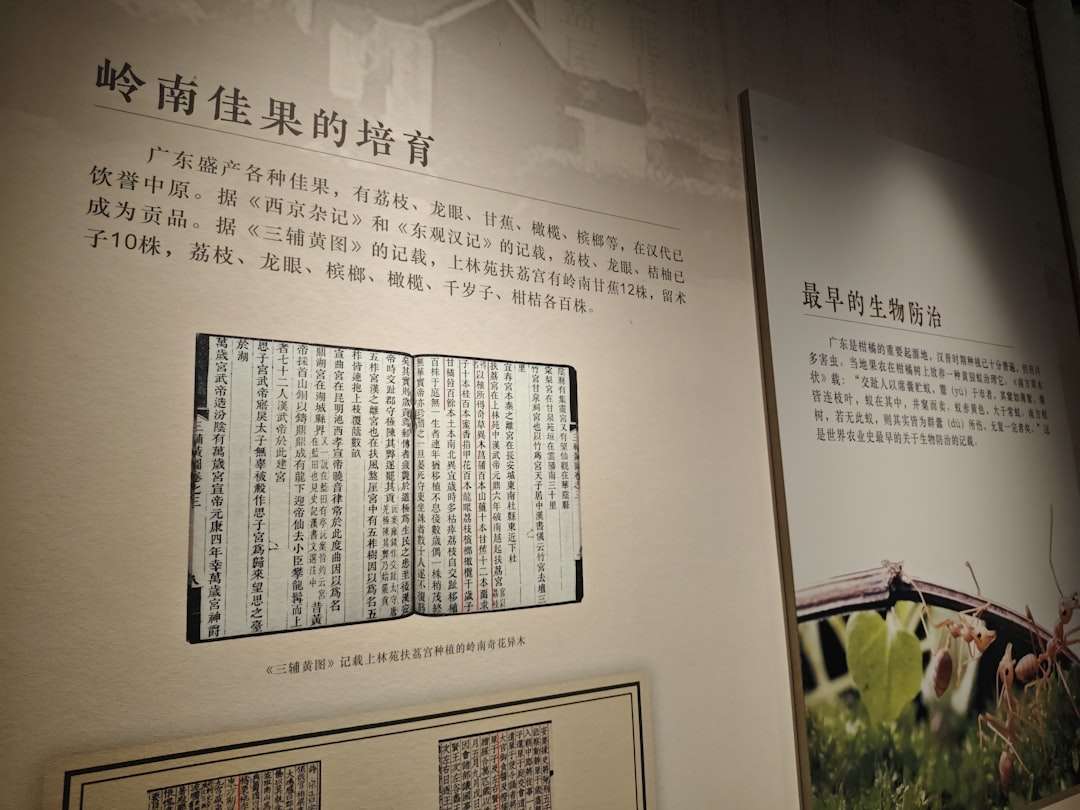 Why Historical Stories Still Matter in the Digital Age